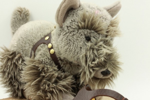 Lentes Harness