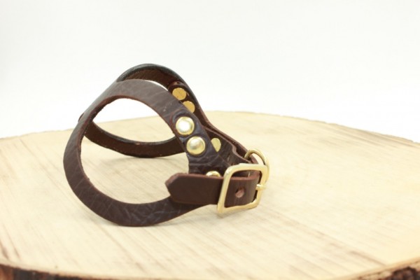 Lentes Harness