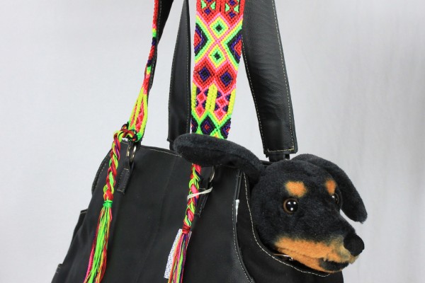 Pet Carrier