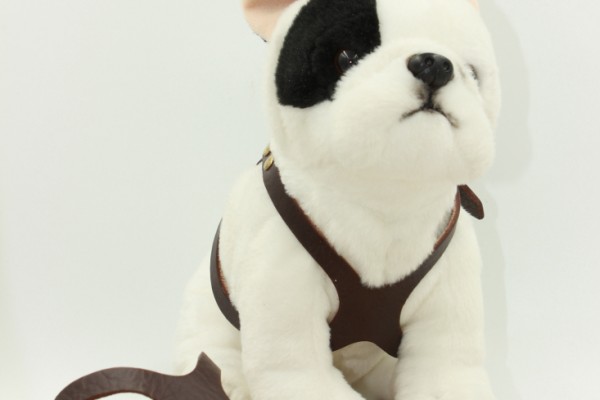 Lentes Harness