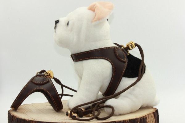 Slip-on Harness Small
