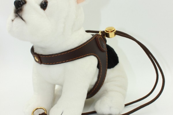 Slip-on Harness Small