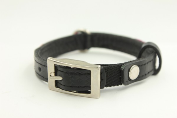 Black Cat Collar Green
