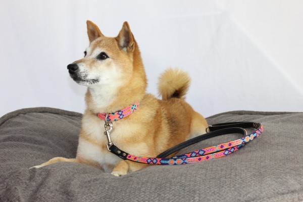 Full-Length Coral Leash