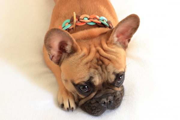 Metzi Collar