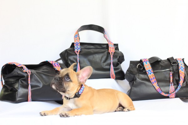 Pet Carrier