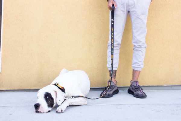 Maya Wave Leash