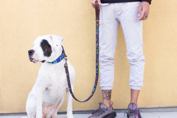 Azulik Wave Leash