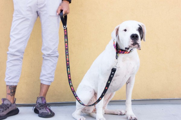 Loxa Wave Leash