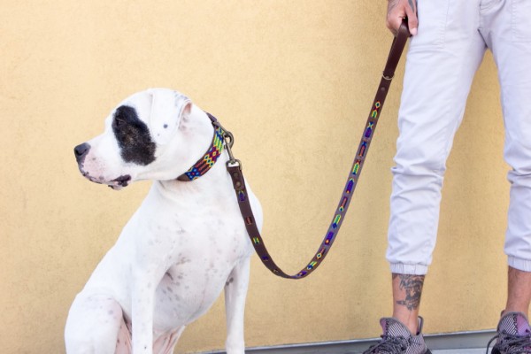 Tucan Wave Leash