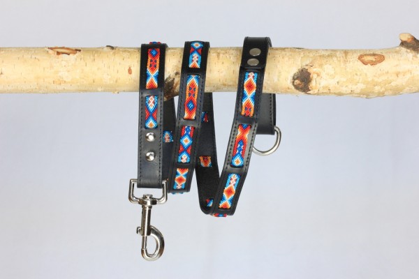 Aurora Wave Leash