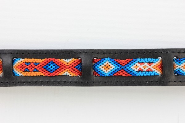 Aurora Wave Leash