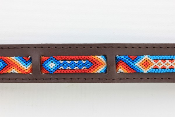 Aurora Wave Leash