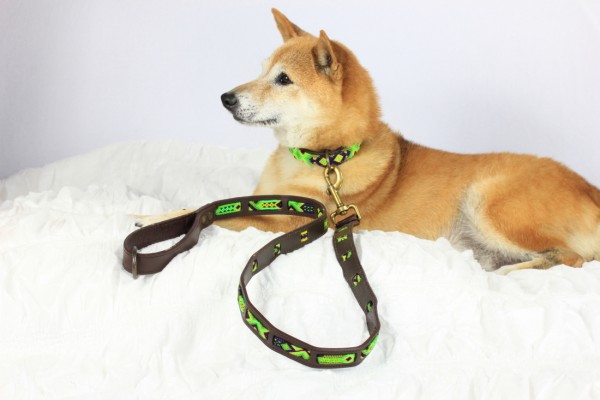 Cactus Wave Leash