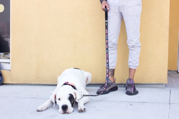 Coral Wave Leash