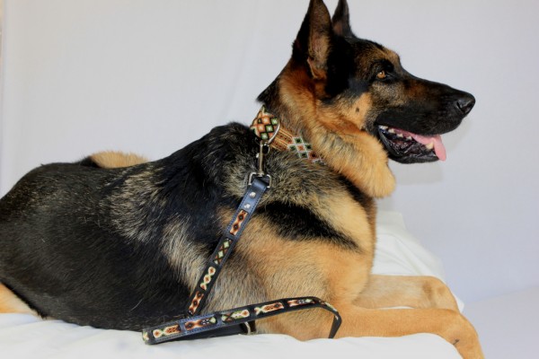 Otomi Wave Leash
