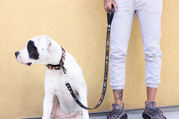 Otomi Wave Leash