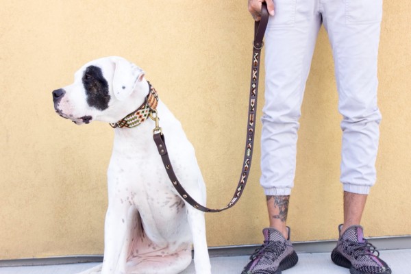 Otomi Wave Leash