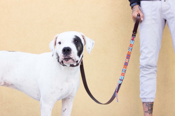 Aurora Half-Length Leash