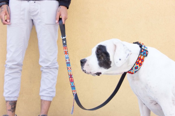 Aurora Half-Length Leash