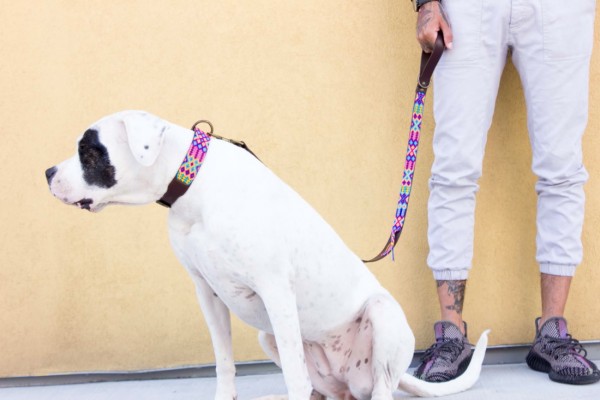 Briza Half-Length Leash
