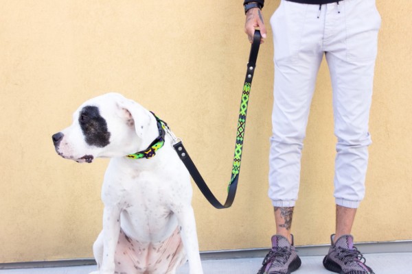 Cactus Half-Length Leash