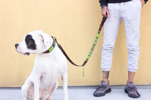 Cactus Half-Length Leash