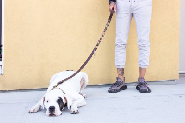 Otomi Half-Length Leash