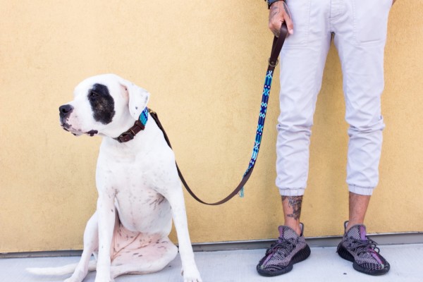 Azulik Half-Length Leash
