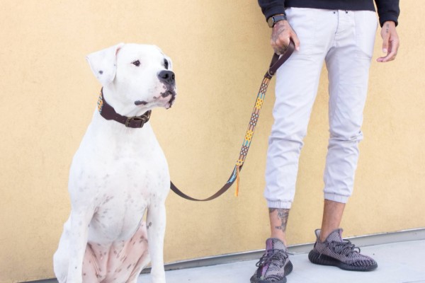 Maya Half-length leash