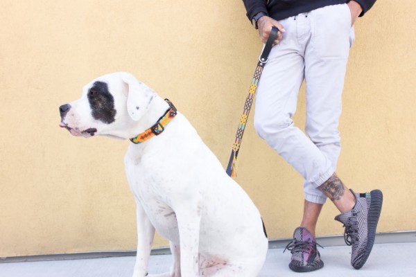Maya Half-length leash