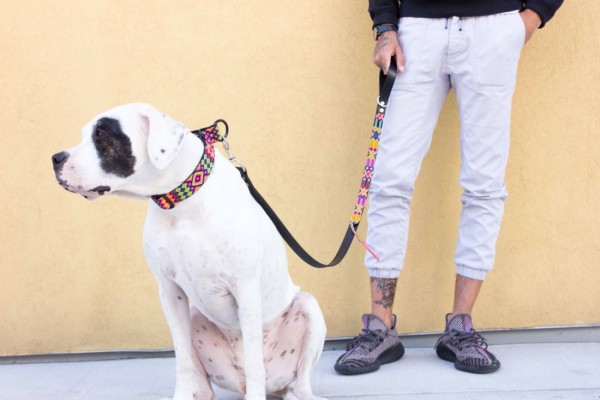 Loxa Half-Length Leash