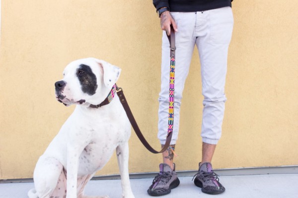 Loxa Half-Length Leash