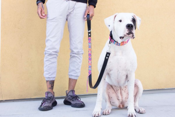 Coral Half-Length Leash