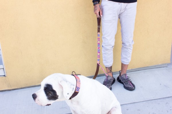 Coral Half-Length Leash