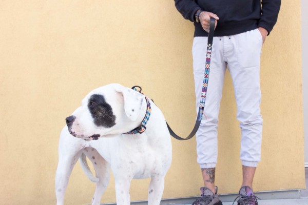 Navajo Half-Length Leash