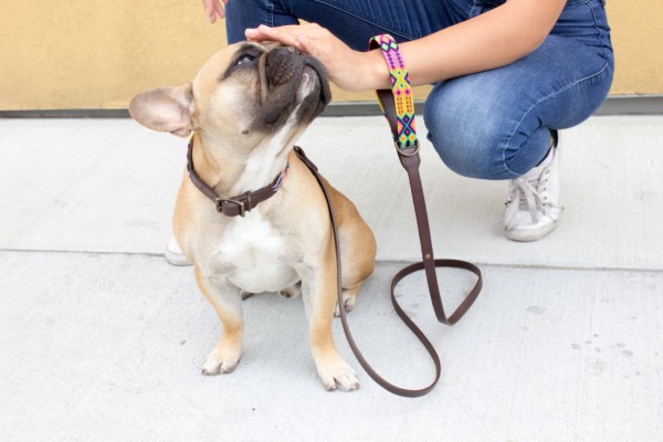 Weave Handle Loxa Leash