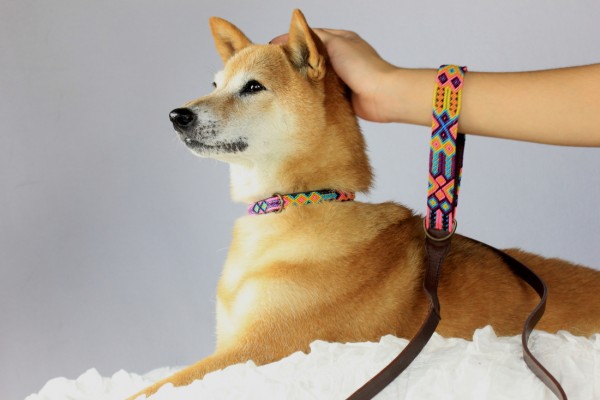 Weave Handle Loxa Leash