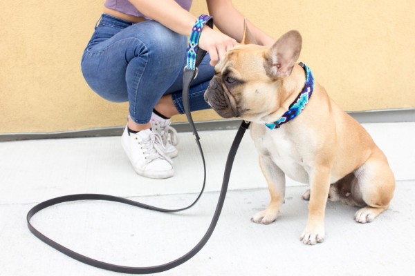 Weave Handle Azulik Leash