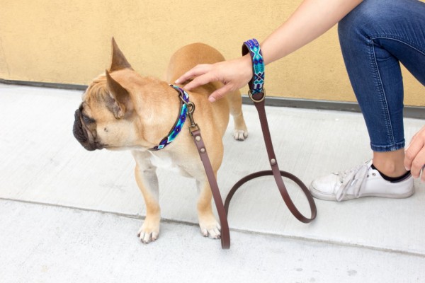 Weave Handle Azulik Leash