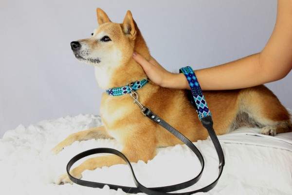 Weave Handle Azulik Leash