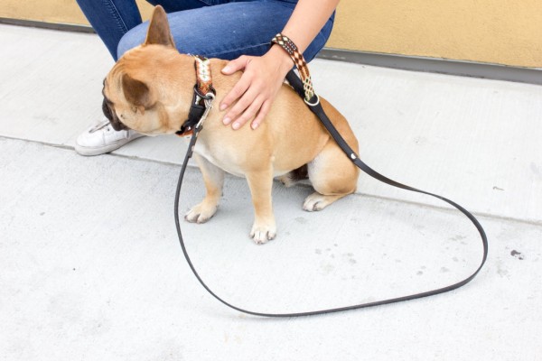 Weave Handle Otomi Leash