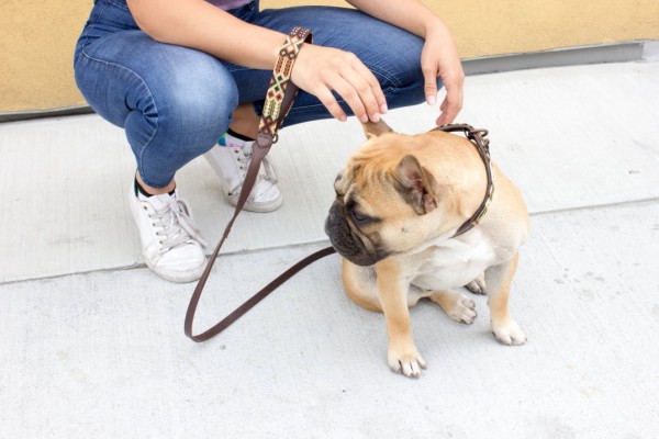 Weave Handle Otomi Leash