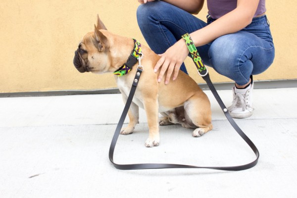 Weave Handle Cactus Leash