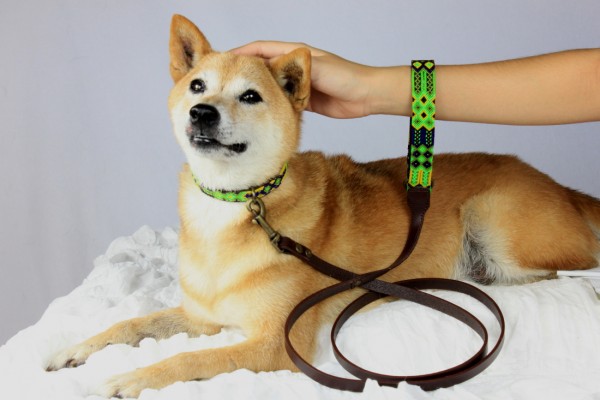 Weave Handle Cactus Leash