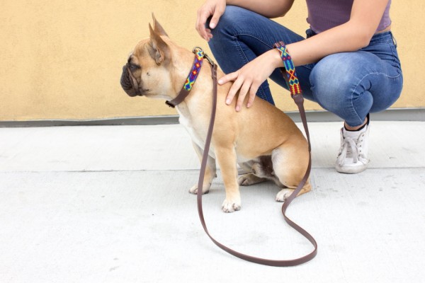 Weave Handle Tucan Leash