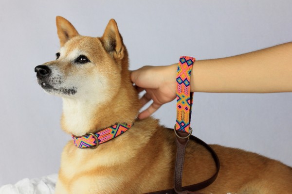 Weave Handle Coral Leash