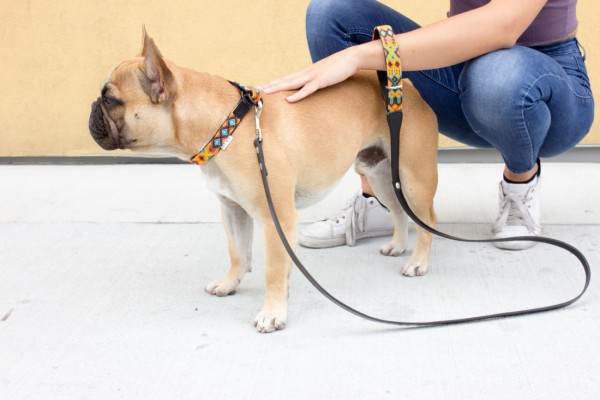 Weave Handle Maya Leash