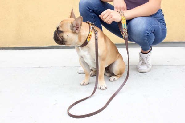 Weave Handle Maya Leash