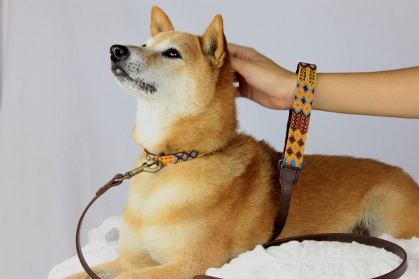 Weave Handle Maya Leash